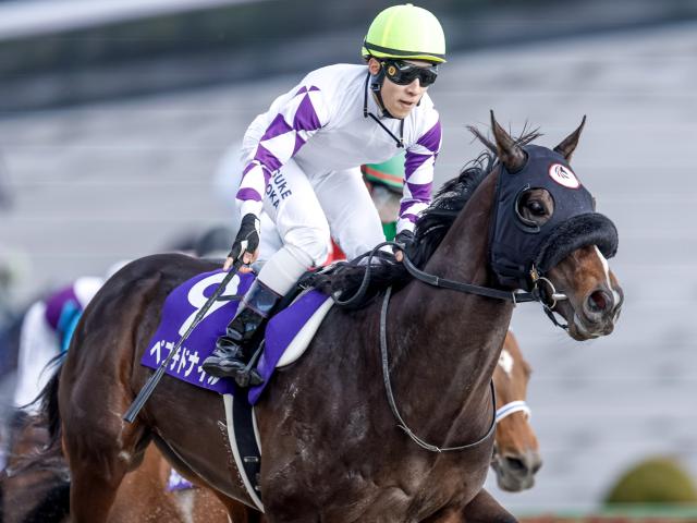 【チャンピオンズC予想】血統と戦歴が光る伏兵 AIが導いた“穴の一手”とは