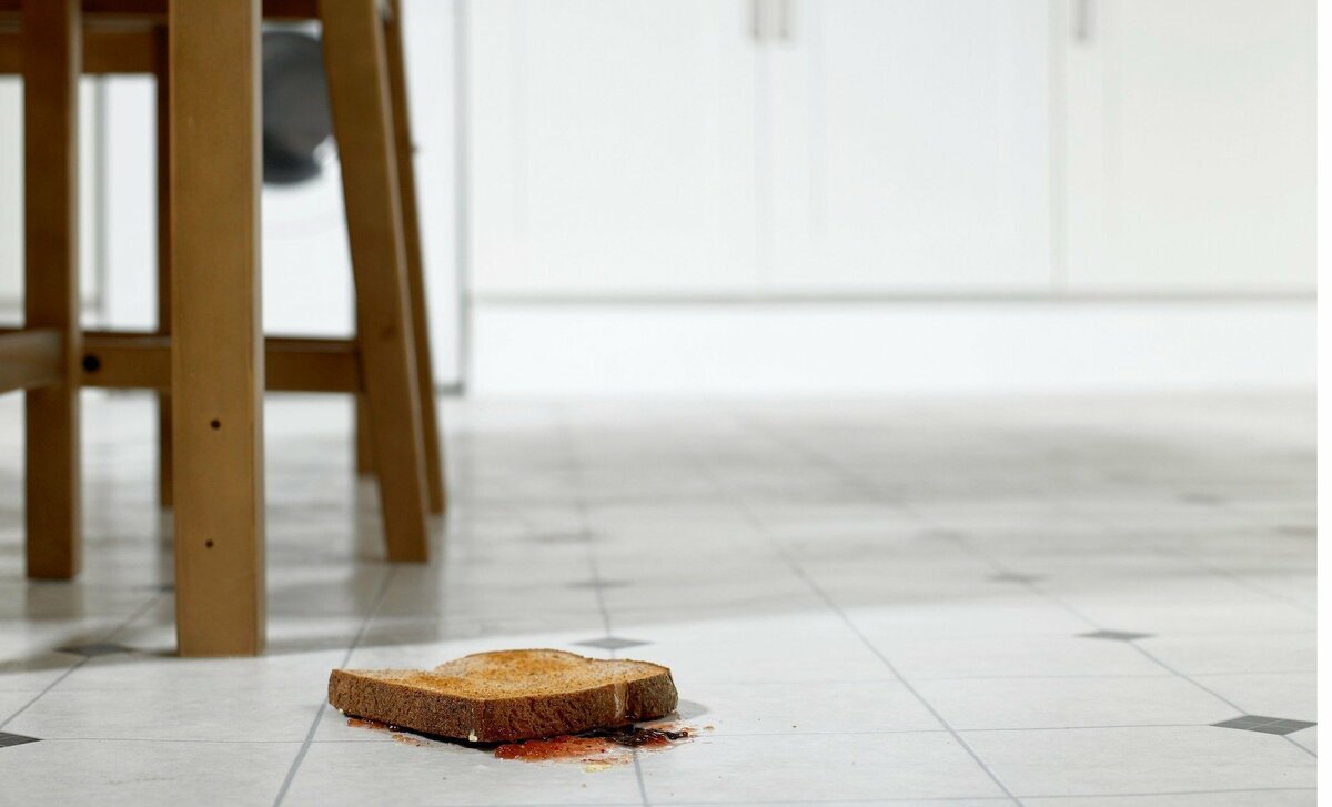 「5秒以内なら食べてもセーフ」は科学的に間違いだった 実験で判明した「菌は1秒以下でもくっつきます」