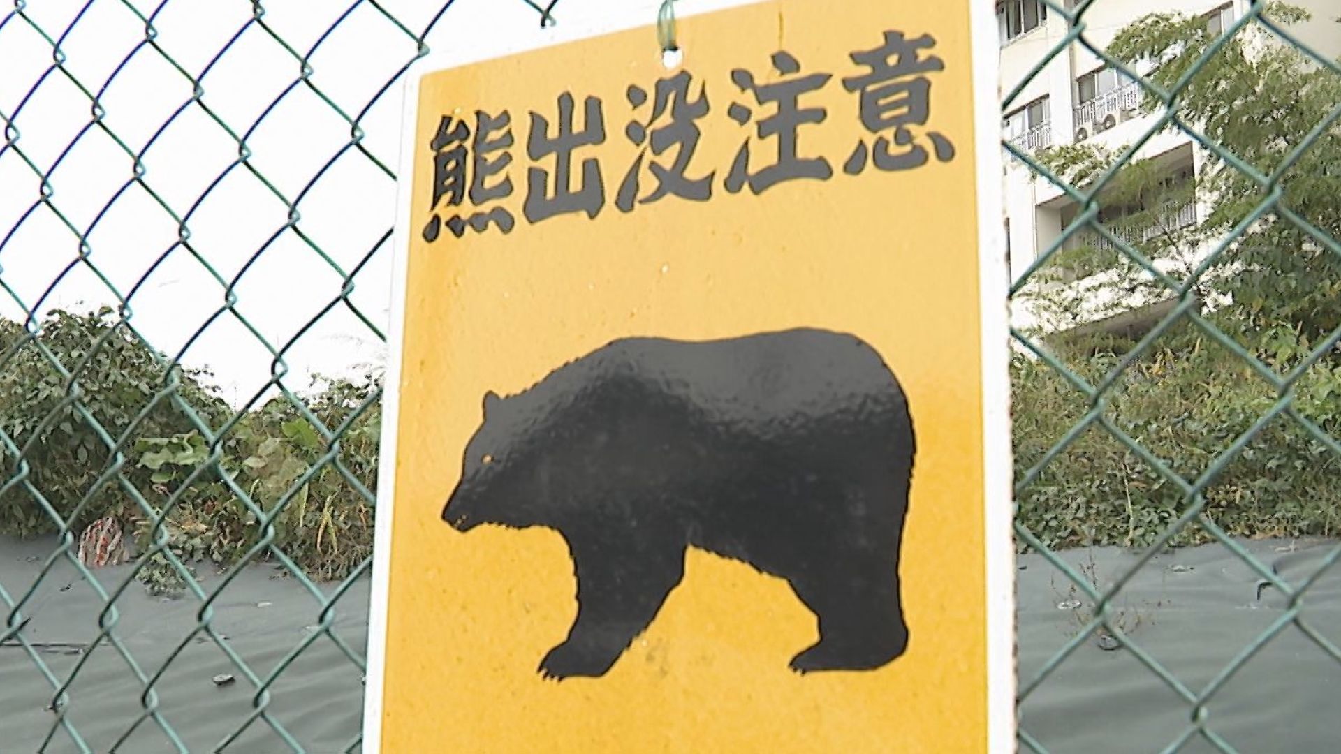 【詳細】宮城県内クマ出没情報（13日午後３時時点）