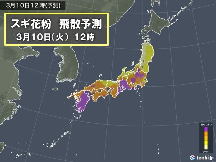 花粉シーズン続く 名古屋では連日「極めて多い」 3月下旬からはヒノキがピーク入り