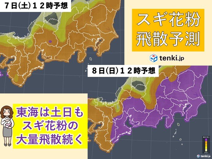 この先もスギ花粉大量飛散続く 7日～8日は冬のような天気と冷たい北風に注意 東海