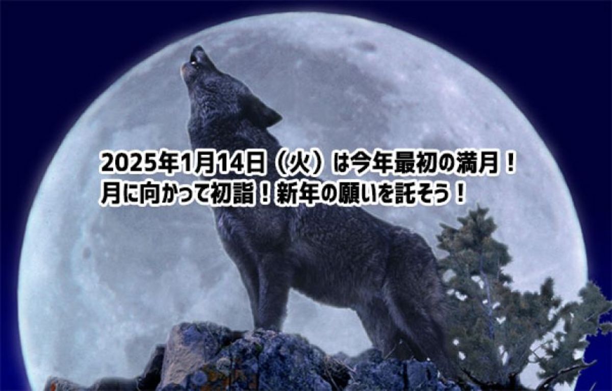 2025年1月14日、今年初の満月が火星と共演！月にも初詣して新年に祈願しよう！