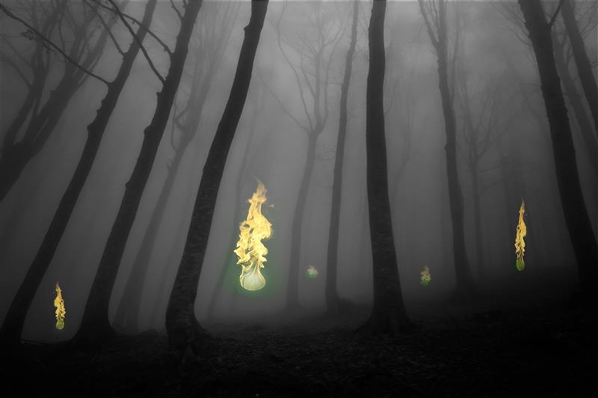 墓場に現れる「青い火の玉」正体が遂に判明...「鬼火」を発生させる、意外なファクターとは（ニューズウィーク日本版）