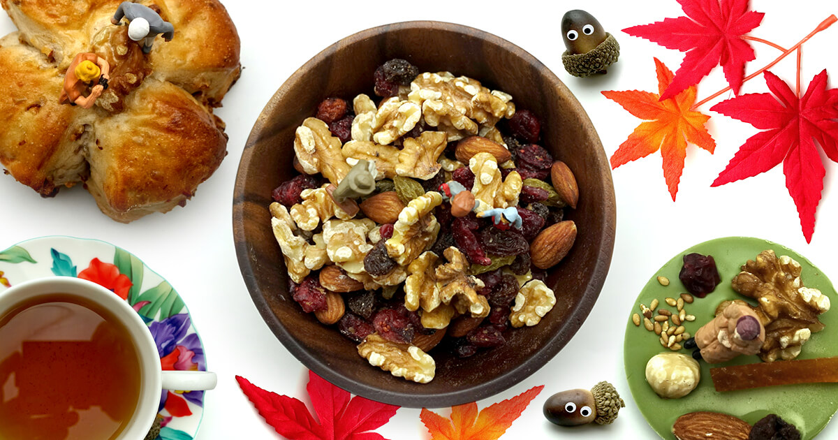 11月特集のお知らせ（予告）