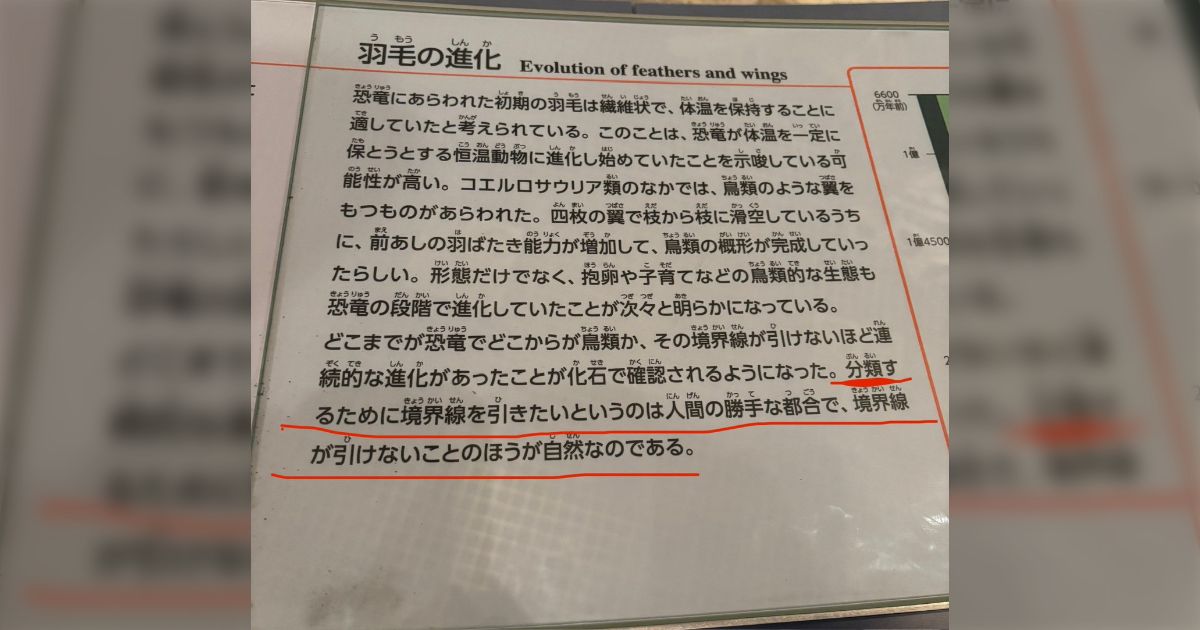 国立科学博物館に行ったら、『羽毛の進化』の解説にすごく良いことが書いてあった話「こういう踏み込んだ解説いいな」「意味を考えたのは全部人間だからね」