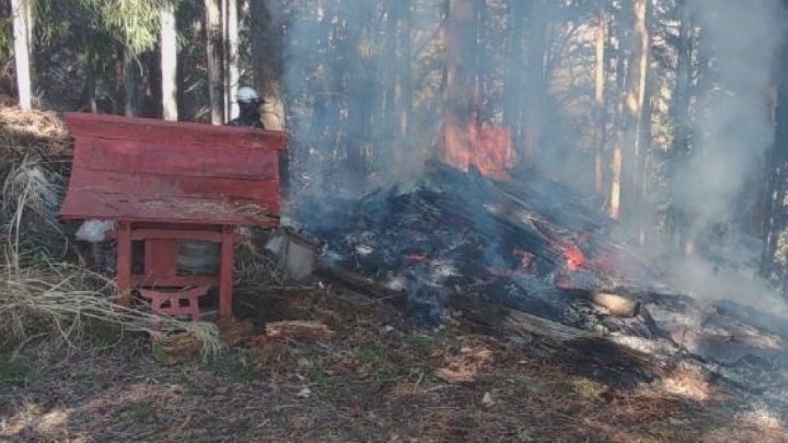 「燃えた切り株がどんどん転がって落ちてきて」山林火災 見えてきた延焼の原因 発生直後に消防団員が撮影した写真を入手 山梨・上野原市