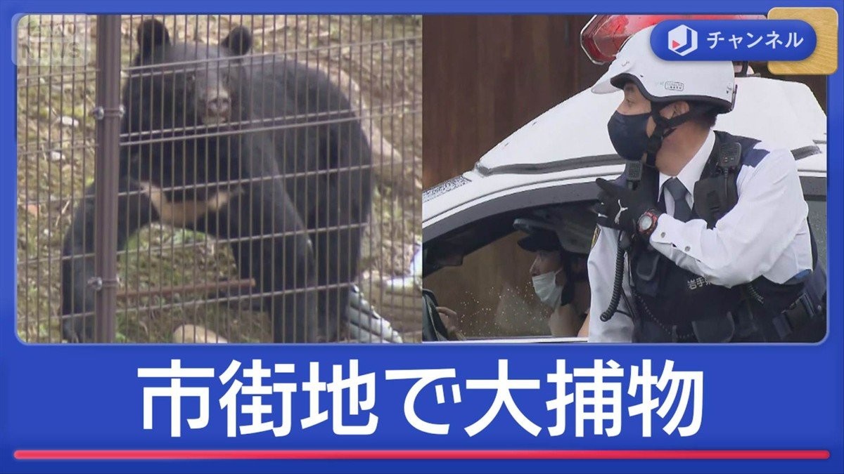 カメラの前で…市街地クマ大捕物の一部始終 被害続発 都内でも目撃