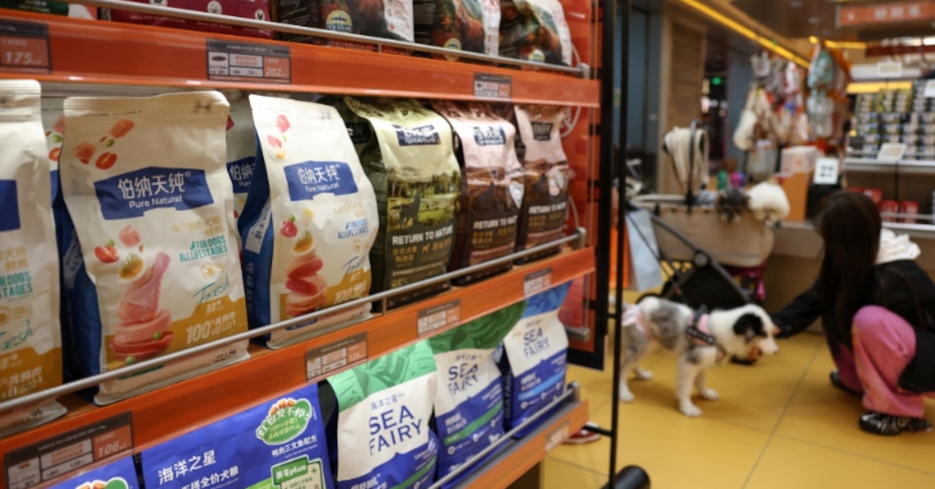 アングル：過熱する中国ペットフード市場、国産勢が続々参入