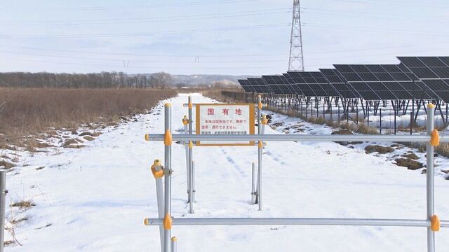 釧路メガソーラー問題に新事実 無許可で使用していた国有地に絶滅危惧種「キタサンショウウオ」が生息