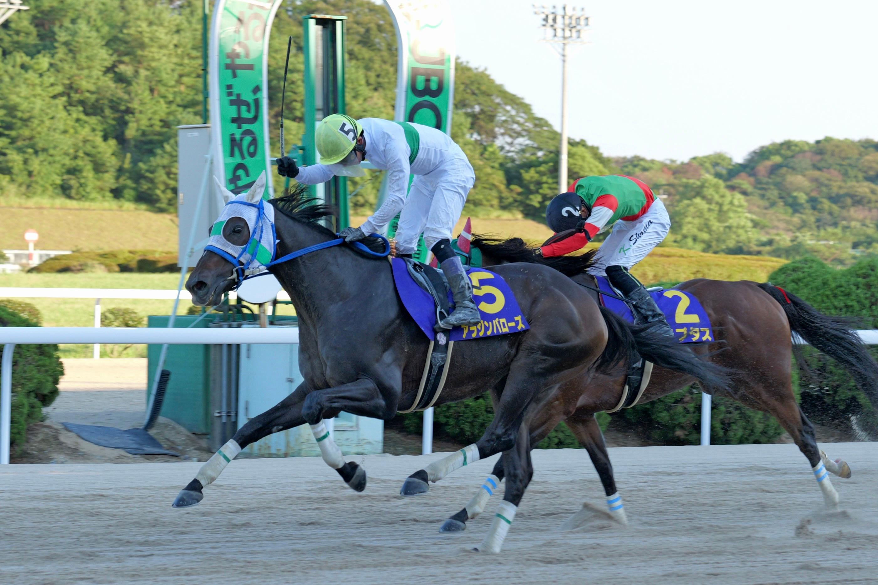 トップハンデ不振も、エンペラーワケア・川田将雅騎手はJRA馬好走の枠に／佐賀・サマーチャンピオンJpnIIIデータ分析