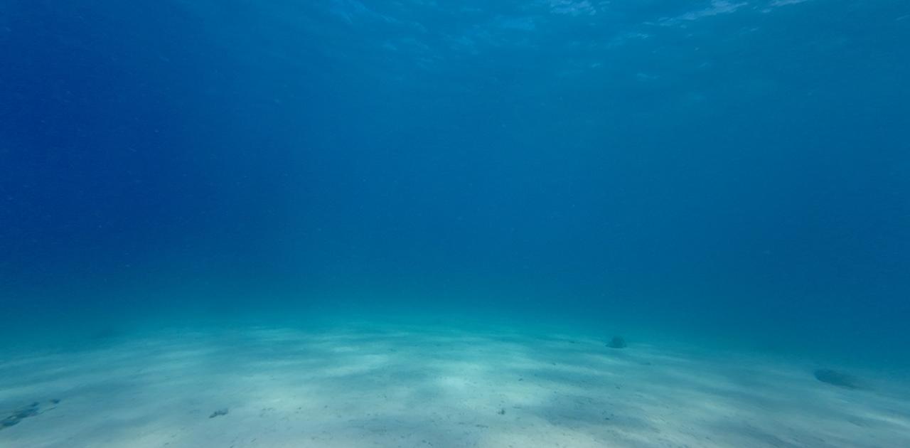 全く知られていなかった｢大量絶滅｣の存在が発覚。原因は不明