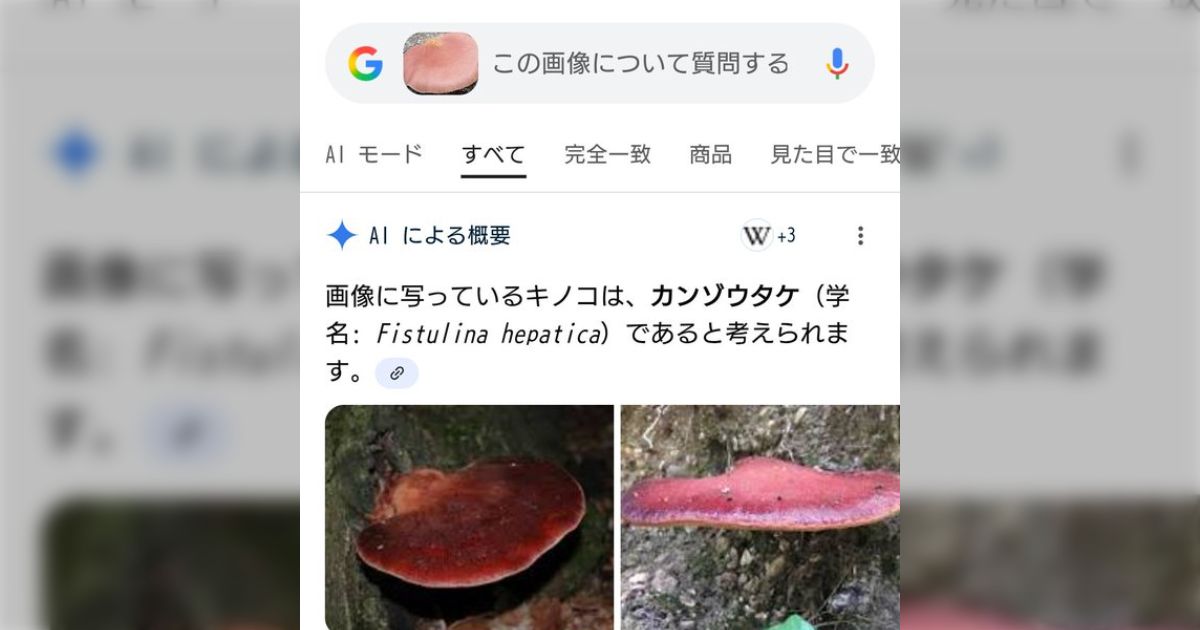 「AIの扱い方の教材」和歌山市の70代男性が毒キノコを食べて食中毒に、AIに食べられるかどうか聞いて判断したらしい