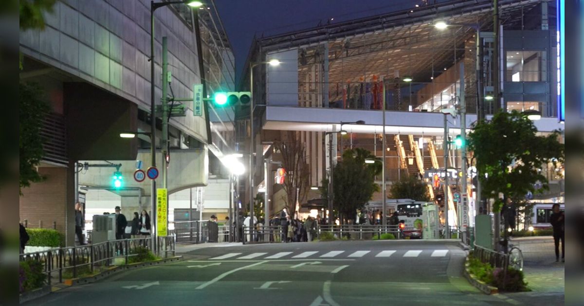 光が林になるカメラ用のフィルターを作ったので動画を撮ってみた→思った以上にしっかり｢林｣が出てきた「目が悪いとこんな感じに見える」