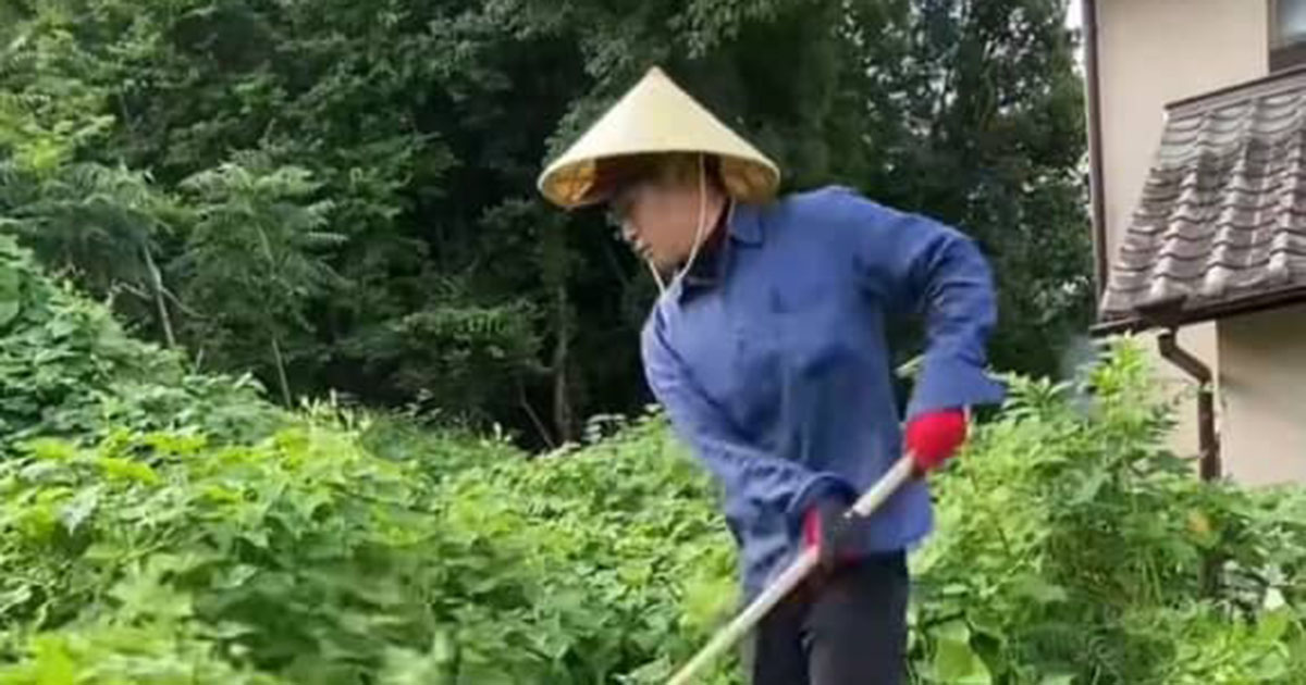 じいちゃんが遺した「雑草ボーボーの荒れ地」→孫が段ボールをびっしり敷いて、1カ月後…… 目を疑う光景に反響