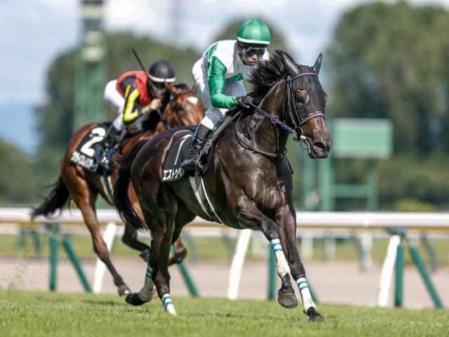 【紫苑S予想】ビッグレースでの経験が信頼に AIは妙味あるオッズがつきそうな馬を指名