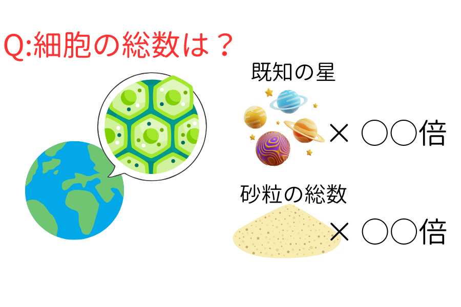 【一番数が多いのは？】「地球生物の細胞総数」「宇宙にある星の数」「地球の砂粒の数」