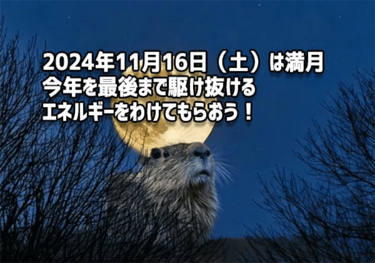 2024年11月16日は満月！まだまだ月は大きく見えるぞ！｜カラパイア