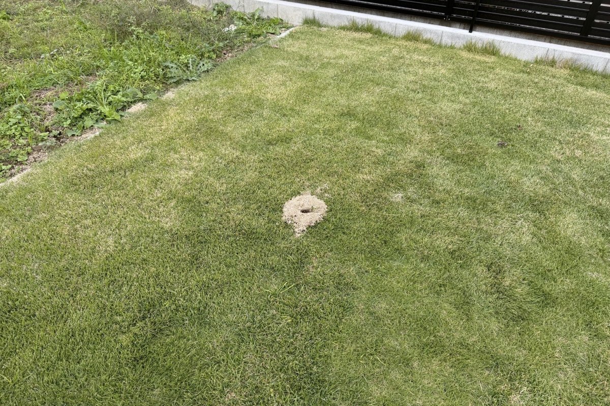 わずか数分の間に庭に出現した「穴」 監視カメラ映像に残った「まさかの正体」に思わず目を疑う