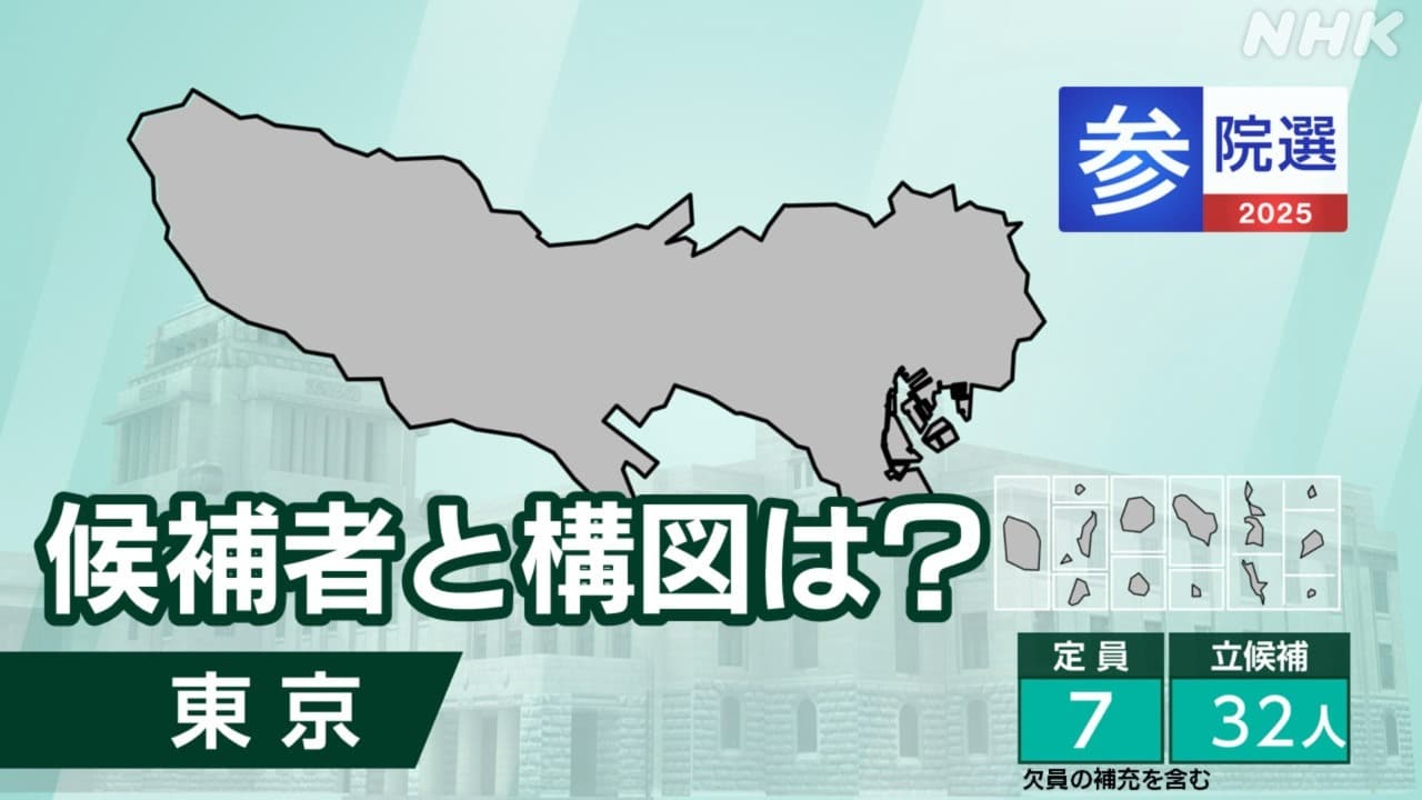 参議院選挙2025 東京選挙区の候補者と訴え 選挙区の構図とポイントなどQ&Aで解説