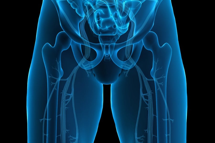 クリトリスは「快感」だけじゃなく「痛み止めスイッチ」かもしれない