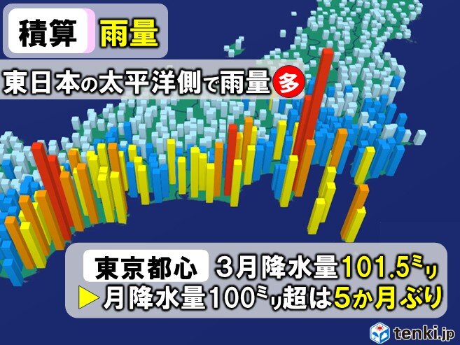 昨秋から少雨続いた東京で5か月ぶりに月降水量100ミリ超える カラカラ解消へ
