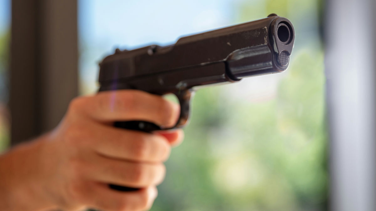 若い男性や共和党支持者では「銃乱射事件への恐怖」が銃規制に反対する原動力になっている可能性