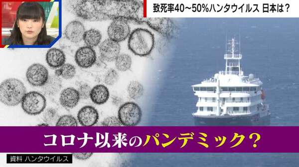「特効薬がない」致死率40〜50%の“ハンタウイルス”日本での流行リスクは？医師は「はしかの方が危ない」と警鐘|au Webポータル