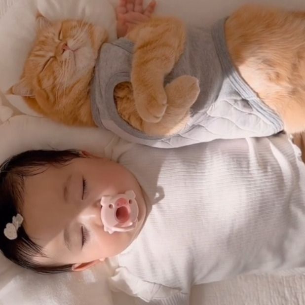「ようこそ」の前足ぽんぽんから始まった絆…猫と赤ちゃんの“お昼寝姿”に感動「涙が出た」「癒やされる」｜まいどなニュース