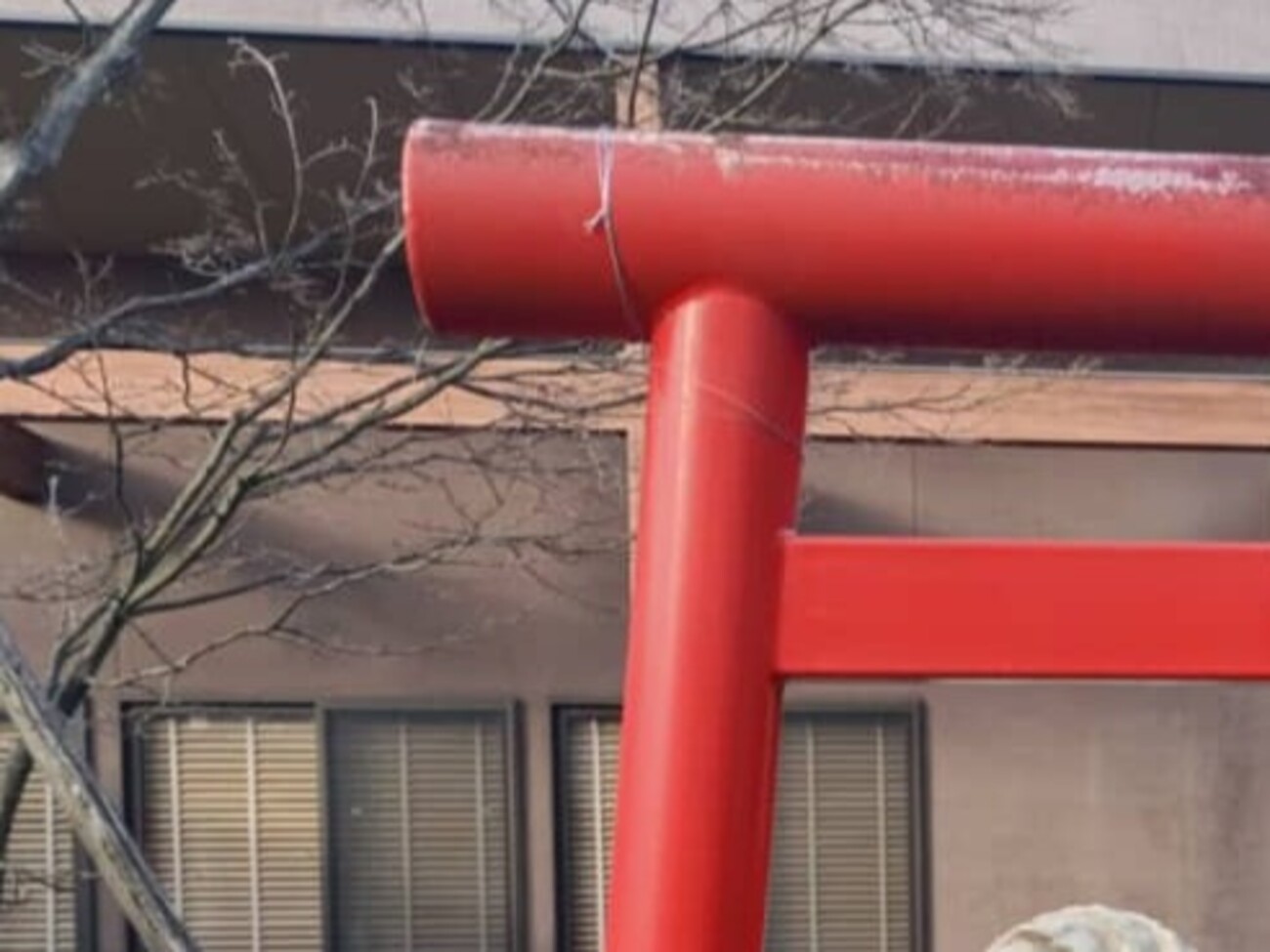 一見、普通の神社の鳥居→くぐった先には…… 「え!?」“まさかの光景”が60万表示「ネタじゃないのかよ」「衝撃」