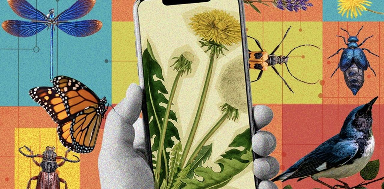 君も新種生物の発見者になれるかも。自然観察アプリ｢iNaturalist｣