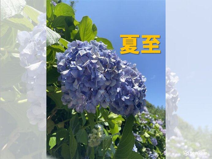 今日21日は夏至 一年で最も夜が短く睡眠の質が下がりがち 快眠ポイント3つ