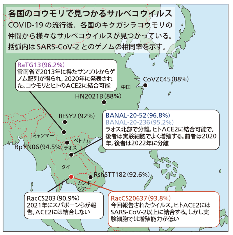 次のパンデミックウイルスを探せ〜日経サイエンス2026年8月号より