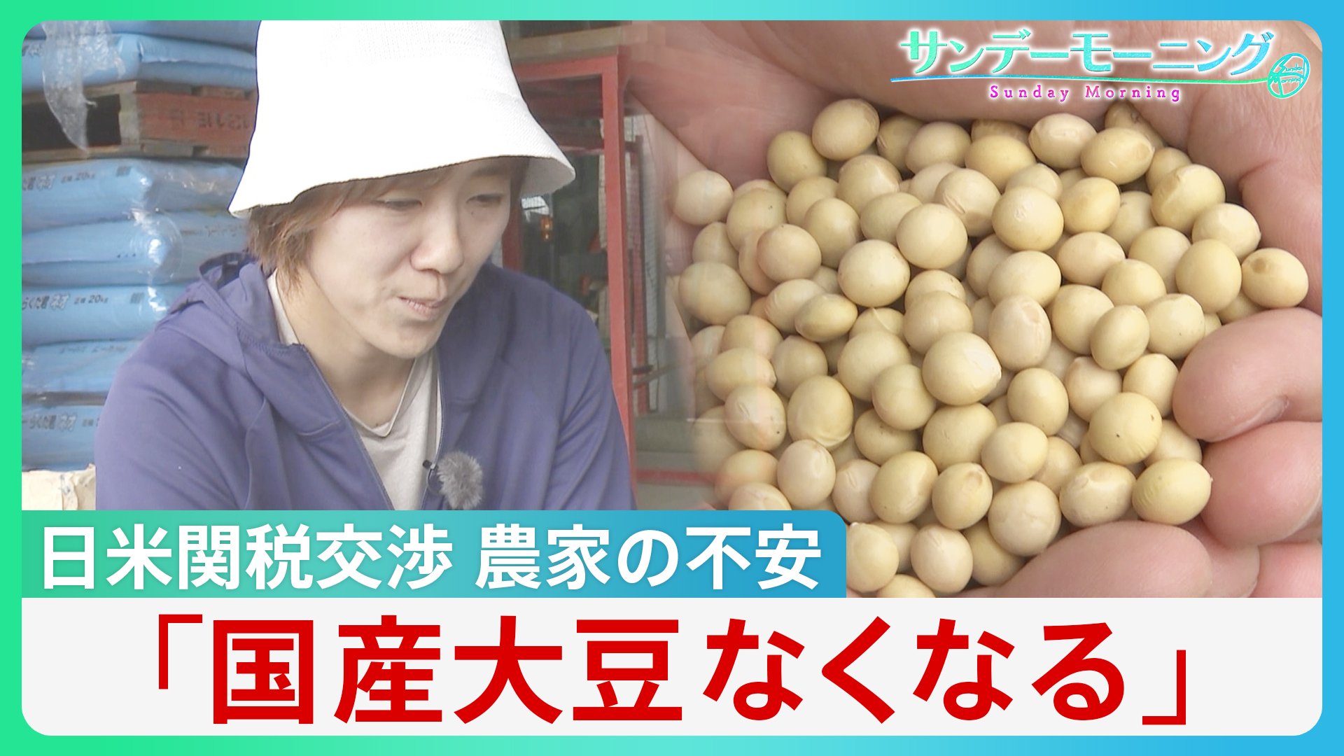 「国産大豆なくなる」日米関税交渉に不安募らせる農家 日本が交渉カードとしたのは大豆などの農作物【サンデーモーニング】