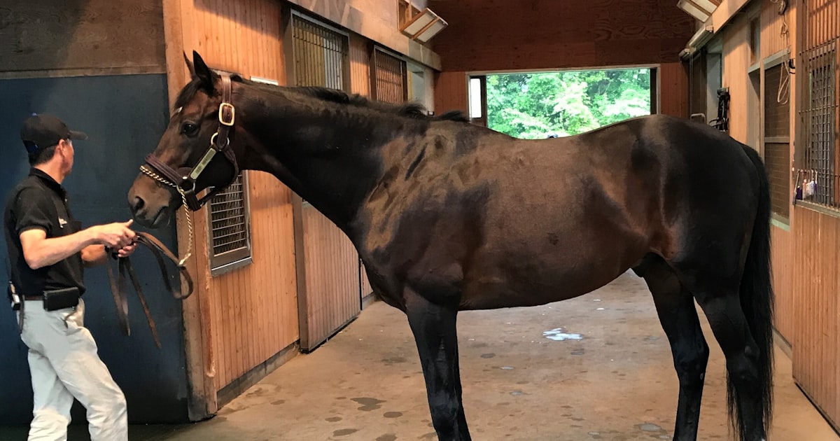 競馬界「最高峰への挑戦」から19年 凱旋門賞中継の思い出