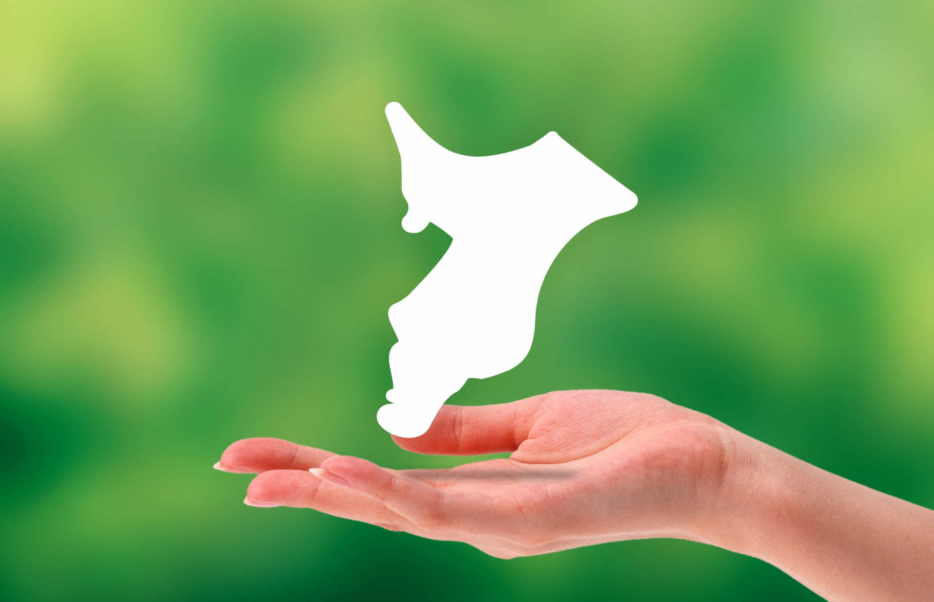 【関東在住者に聞いた】地元民しか読めないと思う「千葉県の市町村名」ランキングTOP20！ 第1位は「匝瑳市」【2026年最新投票結果】