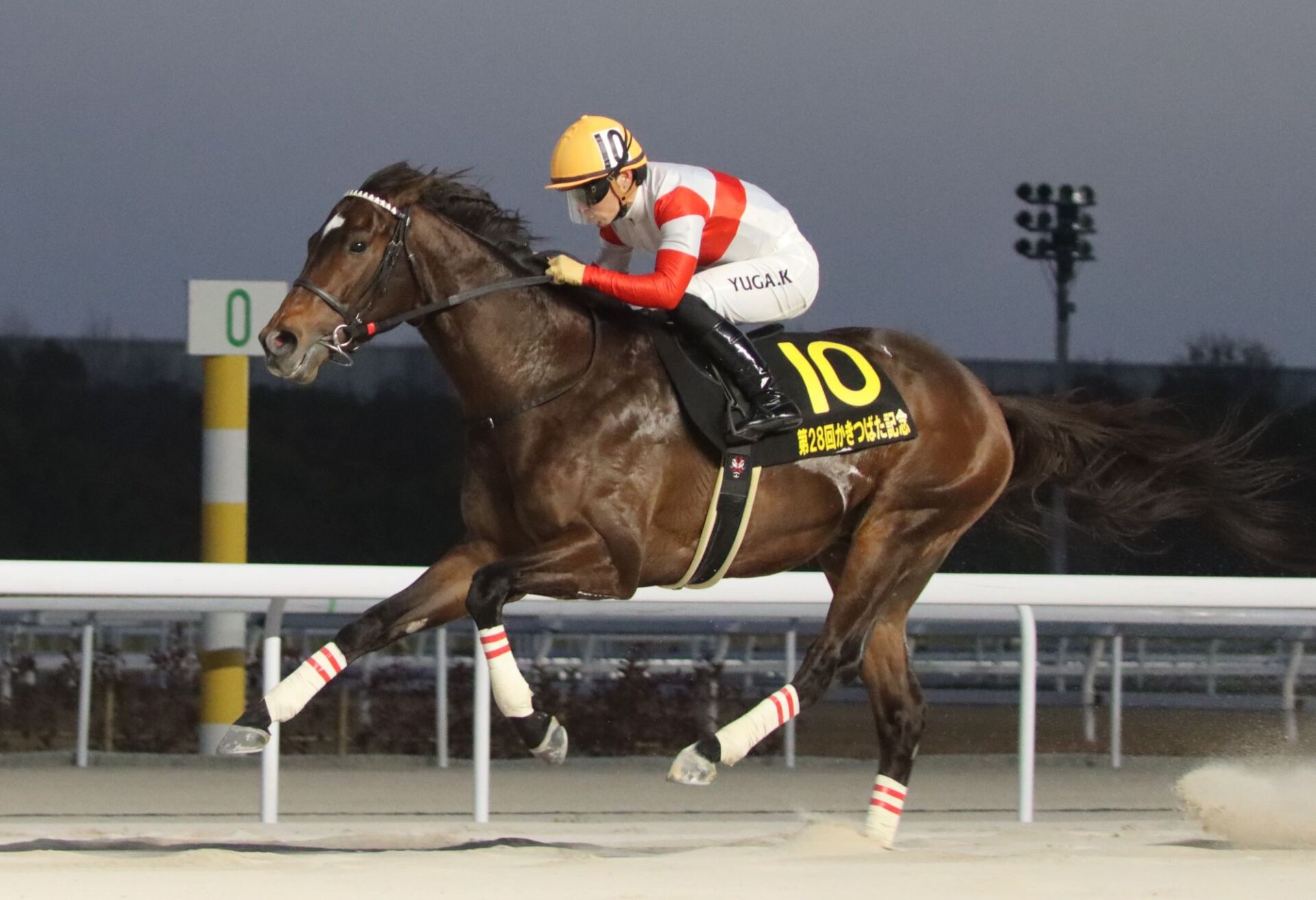 【かきつばた記念】1番人気ダノンフィーゴが交流重賞初制覇！JRAのワンツースリー