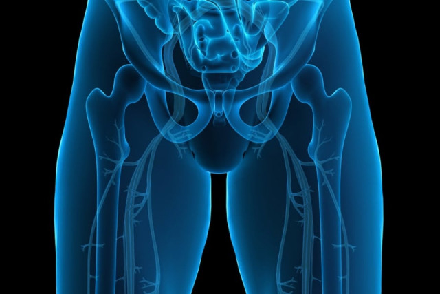 クリトリスは「快感」だけじゃなく「痛み止めスイッチ」かもしれない（ナゾロジー）｜ｄメニューニュース