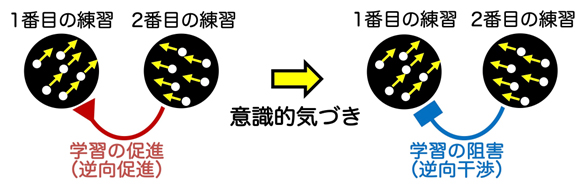 意識が変える学習の運命