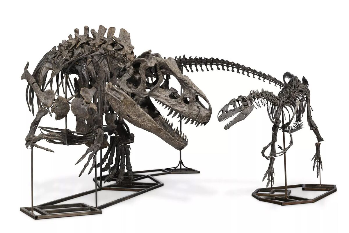 マネロン容疑者から恐竜の完全な全身化石3体、英国の警察が押収