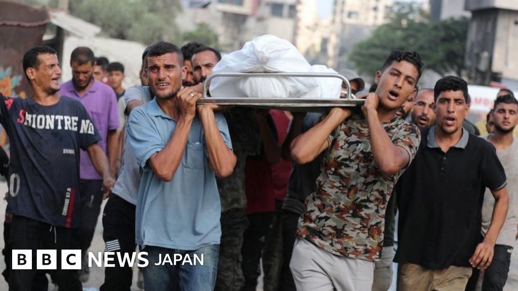 イスラエルはガザでジェノサイド実行と専門家団体