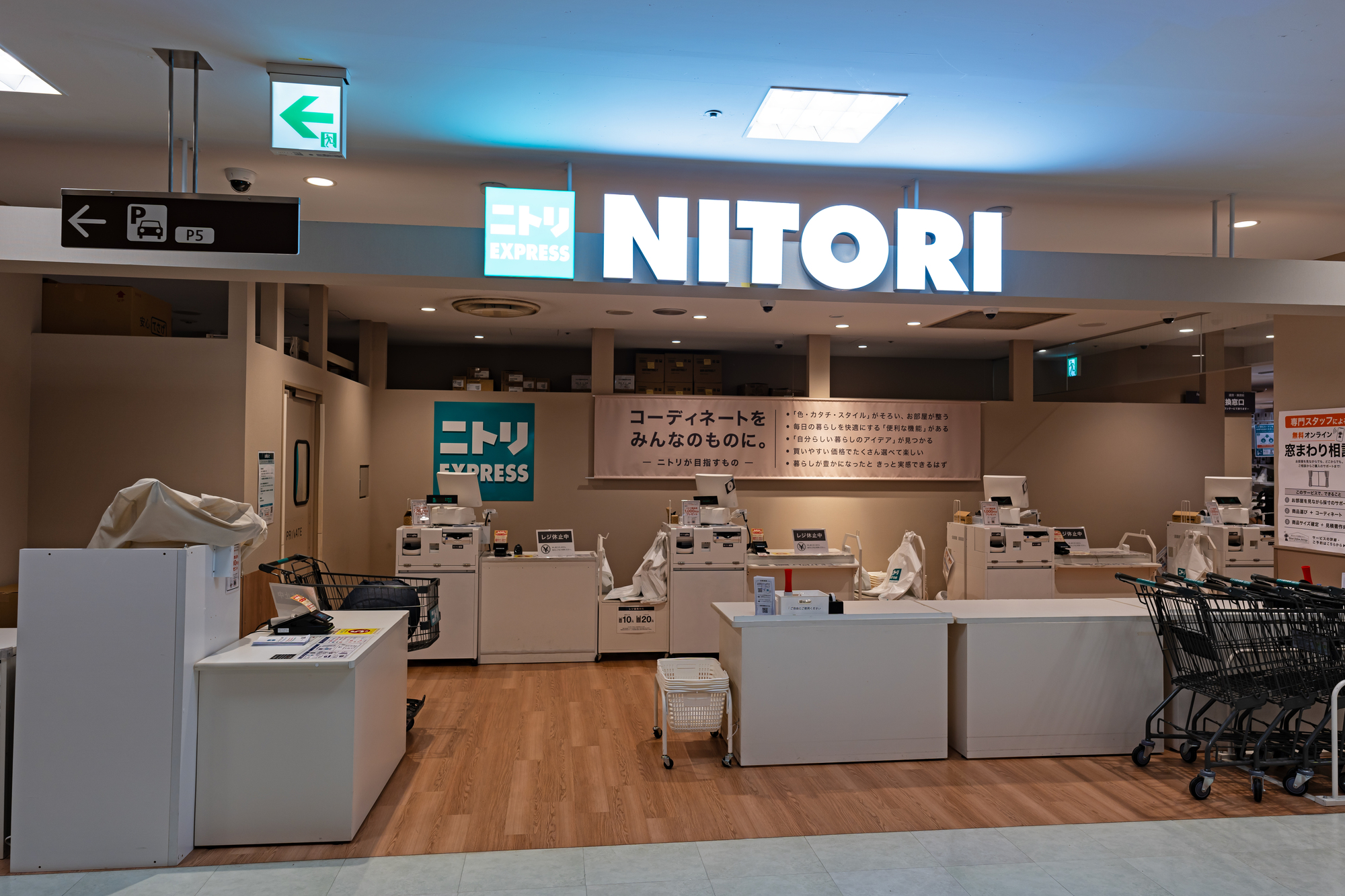 「猫好き、ふわふわ好きの子供が大歓喜！」 ニトリの“猫のクッションカバー”が大人気 「可愛くて癒やされます」「猫ちゃんをいつも抱いてるかのような肌触り」