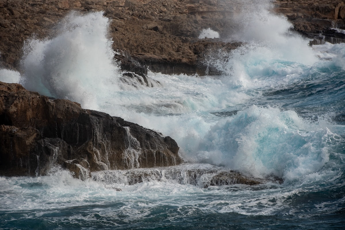 死亡事故が起きたばかりの海岸で観光客が「危険行為」...「ショッキングな瞬間」映像が話題に（海外）（ニューズウィーク日本版）