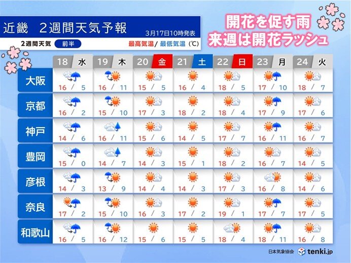 近畿のお花見はいつ? 18日～19日は桜の開花を促す雨 来週は暖かさで一気に進む