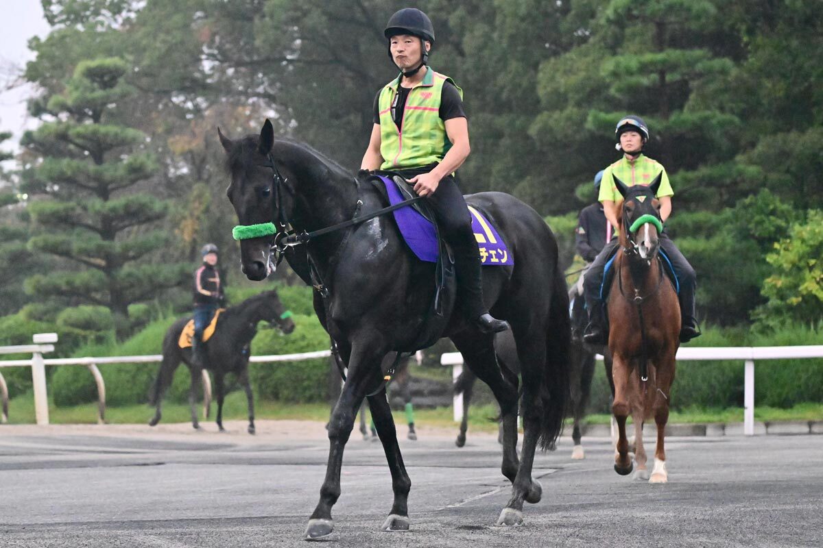 【菊花賞】枠順確定 3冠狙うロブチェンは4枠8番 逆転戴冠目指すダノンヒストリーは5枠10番