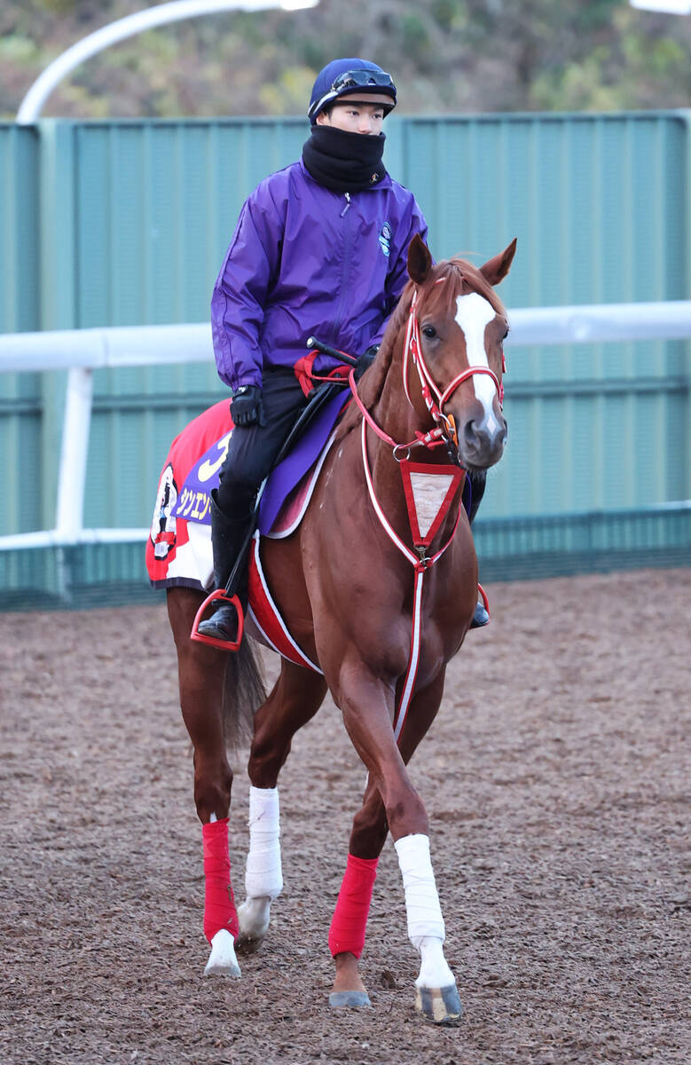 【坂井瑠星Ｓｈｏｏｔｉｎｇ Ｓｔａｒ】ジャパンＣはシンエンペラー 相手は強くなるけど一発狙っていきます！