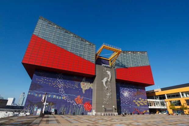 日本一の水族館が再入館禁止発表に「本気で言ってるのか」の賛否、同館に聞いた“新たな施策”（週刊女性PRIME）