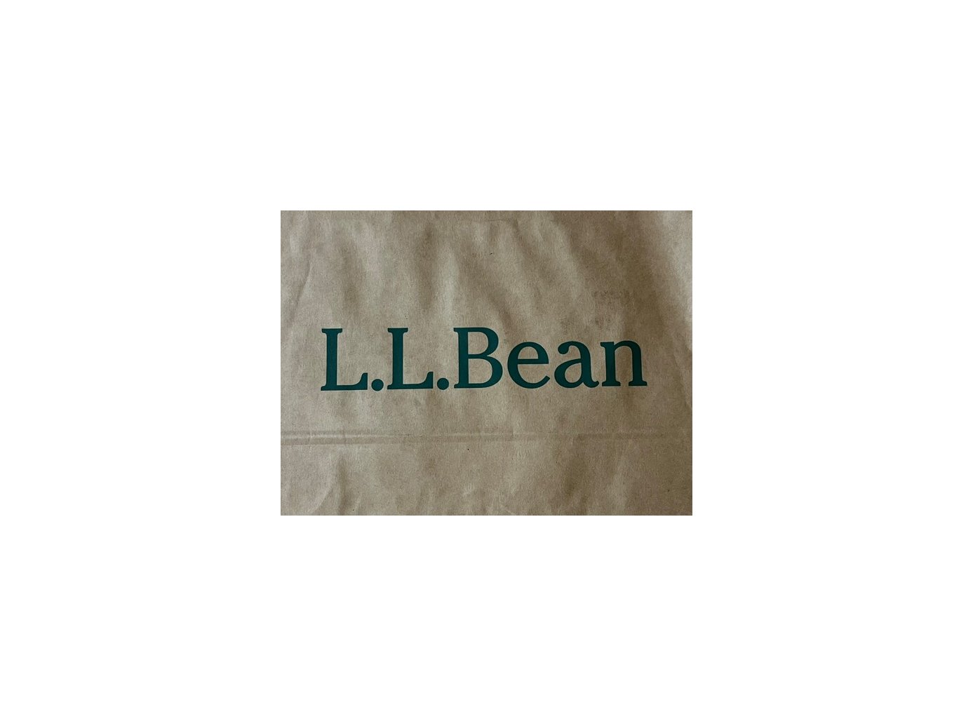 「真冬は絶対これ」L.L.Bean（エルエルビーン）の“ダウン”に絶賛の声 「期待どおりの暖かさで満足」「スーツの上に着てもばっちり」