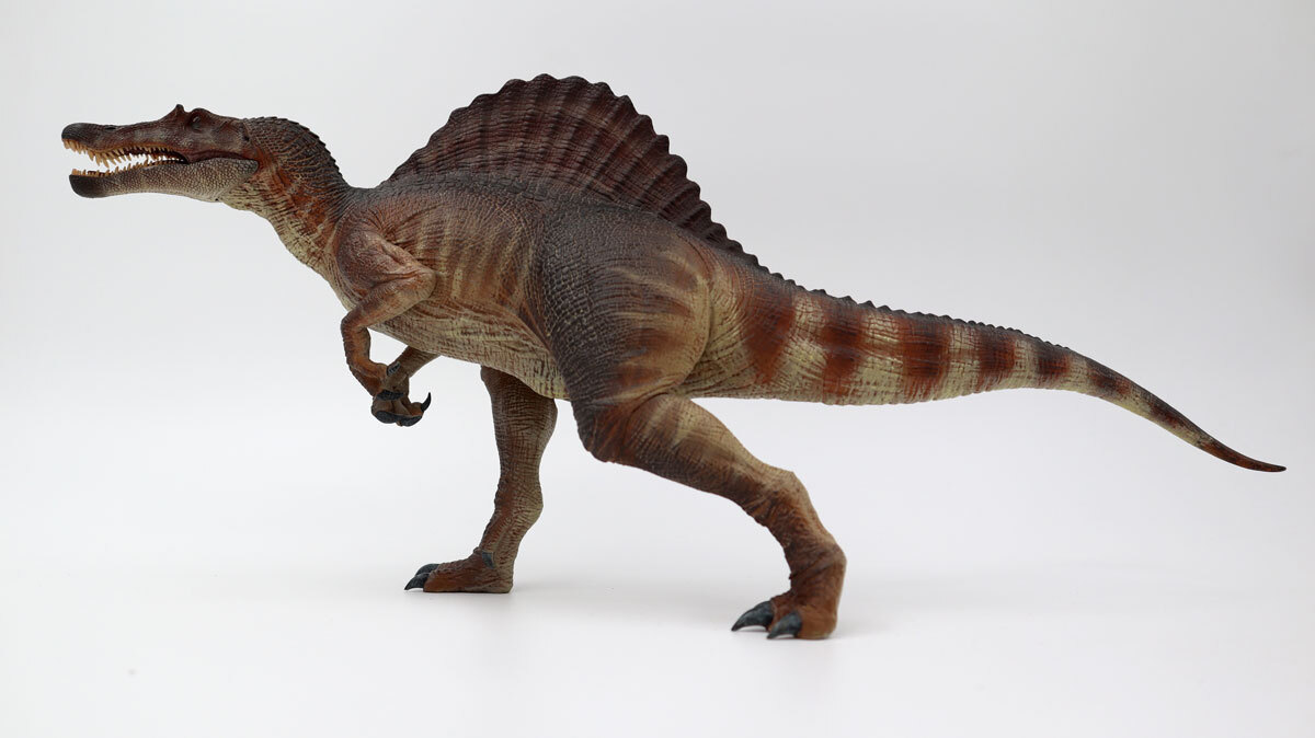 「巨大で奇抜な帆」を持つ恐竜スピノサウルス、その機能が明らかに 最新研究