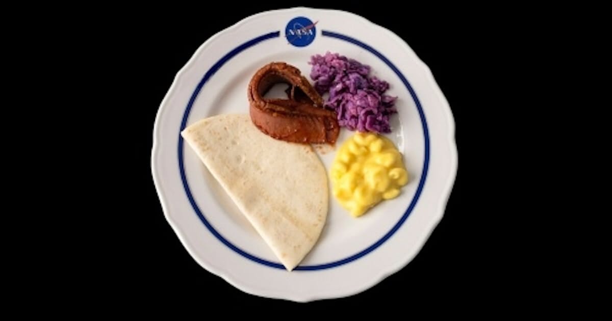 アルテミス2の宇宙食を食べてみた おいしさに驚いた一品は