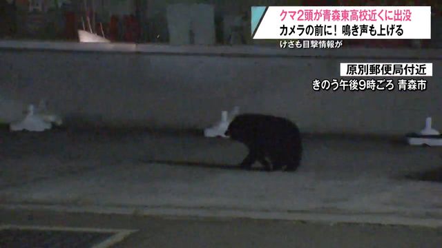 親子のクマカメラの前に！鳴き声もあげる けさも目撃情報が寄せられ近くの学校が警戒を強める